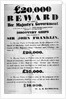 Poster offering a reward for the discovery of the lost Franklin Artic Expedition, 1850 by English School