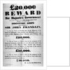 Poster offering a reward for the discovery of the lost Franklin Artic Expedition, 1850 by English School