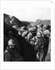 Enemies in the same trench during WWI, French and German soldiers seperated only by a wall of sandbags by French Photographer