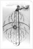 Construction of the cosmos, from Robert Fludd's 'Utriusque Cosmi Historia', 1619 by English School