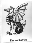 The Cockatrice by English School