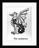 The Cockatrice by English School