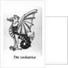 The Cockatrice by English School