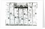 The road from London to Wells and Bury St. Edmunds, from Ogilby's 'Britannia', 1675 by John Ogilby