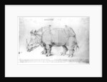 Rhinoceros, 1515 by Albrecht Dürer or Duerer
