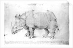 Rhinoceros, 1515 by Albrecht Dürer or Duerer