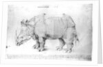 Rhinoceros, 1515 by Albrecht Dürer or Duerer