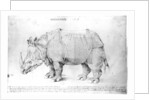 Rhinoceros, 1515 by Albrecht Dürer or Duerer
