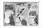 The Palace Theatre of Varieties by English School
