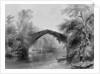 Bridge of Doon, engraved by G. K. Richardson by William Henry (after) Bartlett