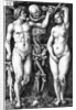 Adam and Eve by Barthel Beham