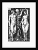 Adam and Eve by Barthel Beham