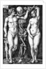Adam and Eve by Barthel Beham