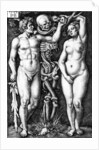 Adam and Eve by Barthel Beham