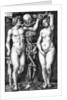 Adam and Eve by Barthel Beham