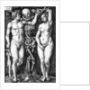 Adam and Eve by Barthel Beham