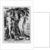 Adam and Eve by Bartholomaeus Spranger