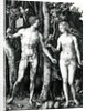 Adam and Eve, 1504 by Albrecht Dürer or Duerer