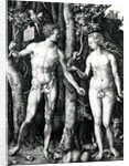 Adam and Eve, 1504 by Albrecht Dürer or Duerer
