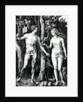 Adam and Eve, 1504 by Albrecht Dürer or Duerer