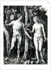 Adam and Eve, 1504 by Albrecht Dürer or Duerer