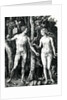 Adam and Eve, 1504 by Albrecht Dürer or Duerer