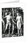Adam and Eve, 1504 by Albrecht Dürer or Duerer