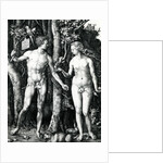 Adam and Eve, 1504 by Albrecht Dürer or Duerer