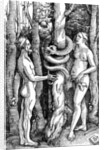 The Fall of Man, c.1514 by Hans Baldung Grien