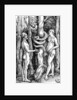 The Fall of Man, c.1514 by Hans Baldung Grien