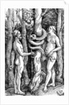The Fall of Man, c.1514 by Hans Baldung Grien