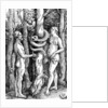 The Fall of Man, c.1514 by Hans Baldung Grien