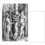 The Fall of Man, c.1514 by Hans Baldung Grien