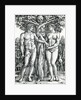 The Fall of Adam and Eve, c.1525-27 by Hans Sebald Beham