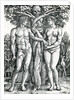 The Fall of Adam and Eve, c.1525-27 by Hans Sebald Beham