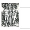 The Fall of Adam and Eve, c.1525-27 by Hans Sebald Beham