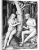 Adam and Eve, c.1506 by Lucas van Leyden