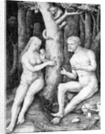 Adam and Eve, c.1506 by Lucas van Leyden