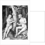 Adam and Eve, c.1506 by Lucas van Leyden