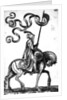A man on horseback, 1576 by Melchior Lorck