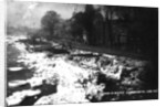 The Thames at Hammersmith in Winter, 1895 by English Photographer