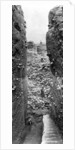 The defences of Jericho in the Pre-Pottery Neolithic A period, c.1930-6 by English Photographer