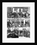 The Conditions of Ireland by English School