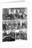 The Conditions of Ireland by English School