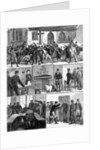 The Conditions of Ireland by English School
