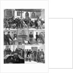 The Conditions of Ireland by English School