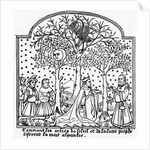 The Oracular trees of the Sun and the Moon by French School