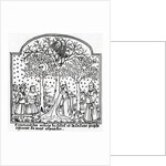 The Oracular trees of the Sun and the Moon by French School