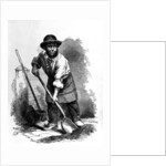 The London Scavenger by English School