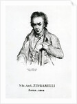 Niccolo Antonio Zingarelli, 1870 by Frederic Desire Hillemacher